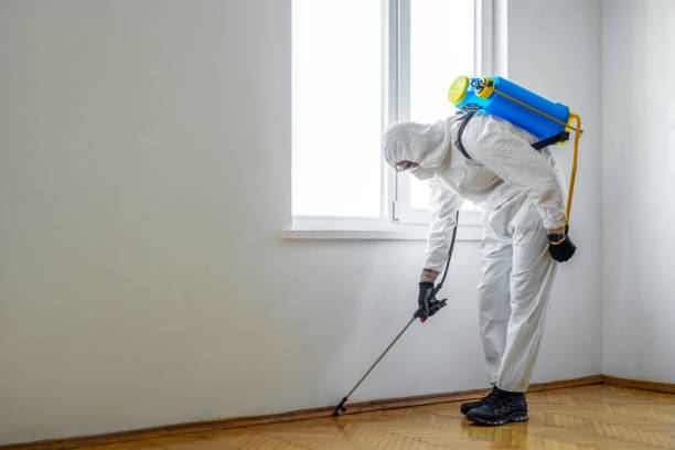 Pest Control Cost in Glen Allen, VA