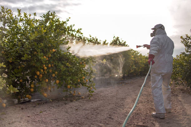 Professional Pest Control in Glen Allen, VA