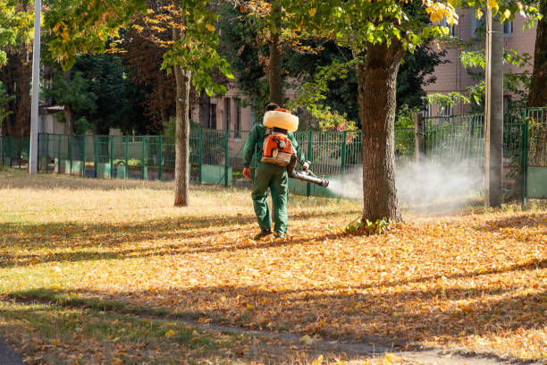 Spider Control Near Me in Glen Allen, VA